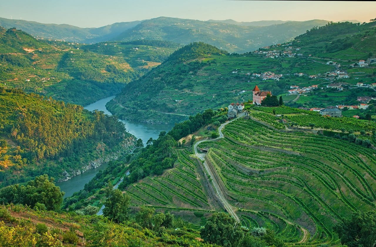 Douro Valley: Nature's Spectacle
