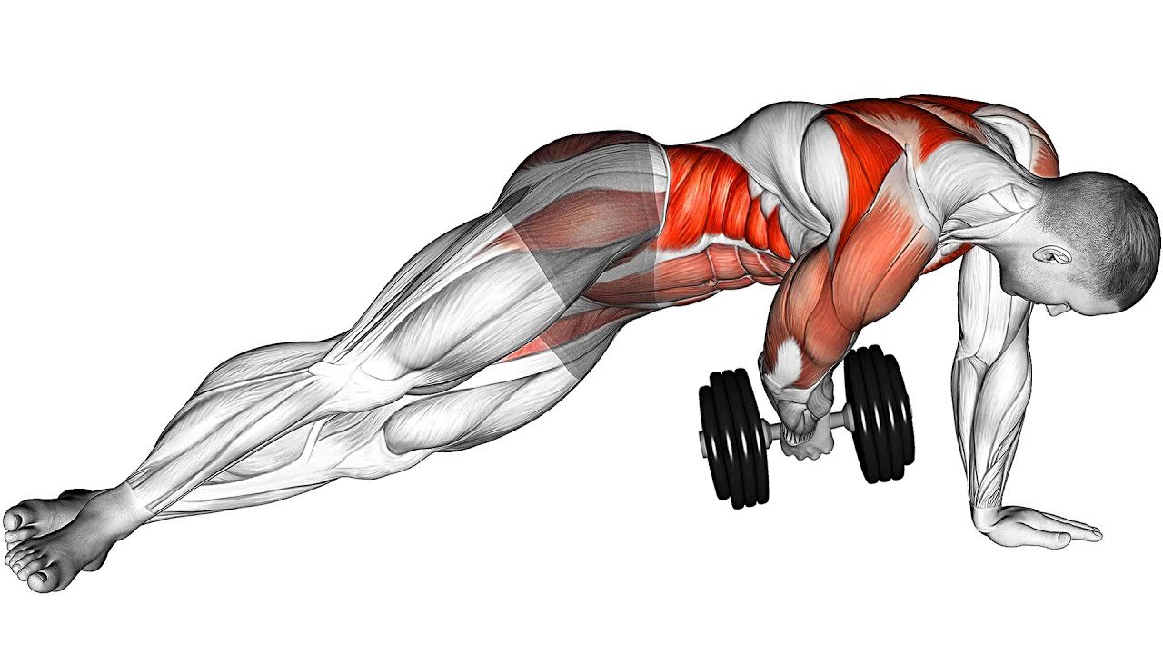 Top 10 Horizontal Pull Exercises for Stronger Back