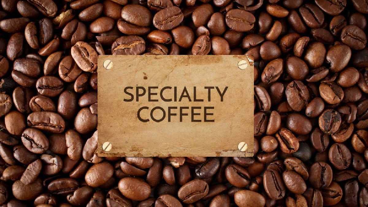 Top 10 Profitable Coffee Shop Business Ideas