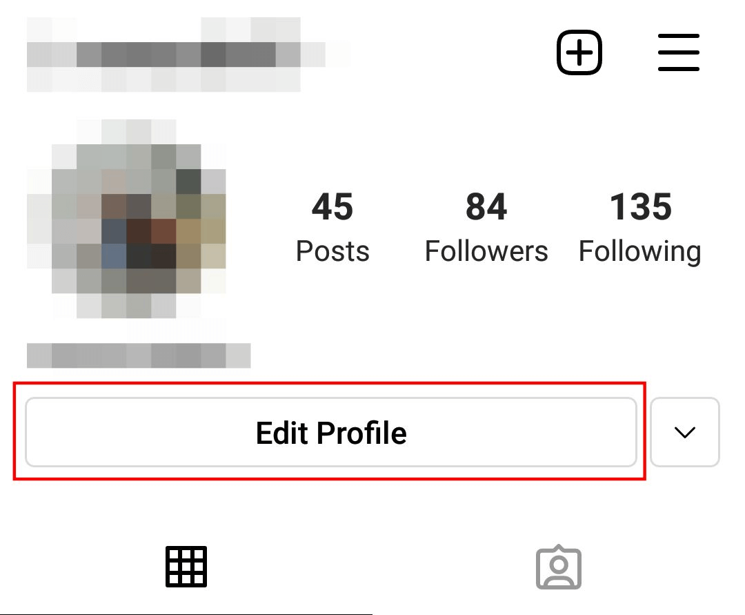 Edit Your Profile option: Instagram 