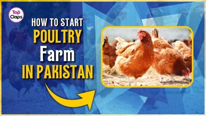 How to Start a Poultry Farm in Pakistan