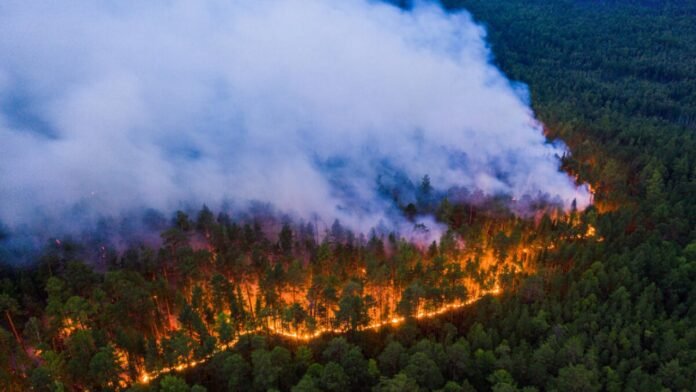 Margalla Hills Fires: Ecosystem Damage & Legal Actions