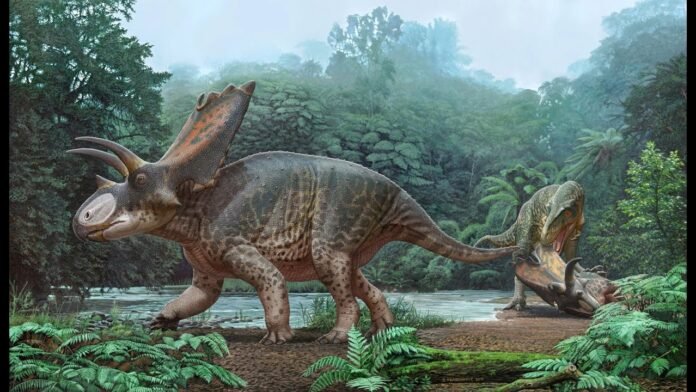 New Horned Dinosaur Species Discovered in America