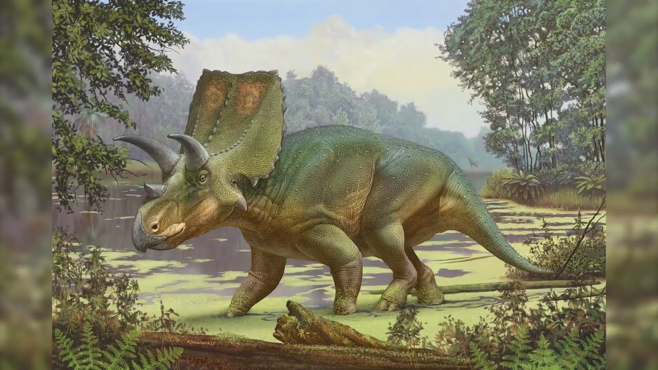 New Horned Dinosaur Species Discovered in America