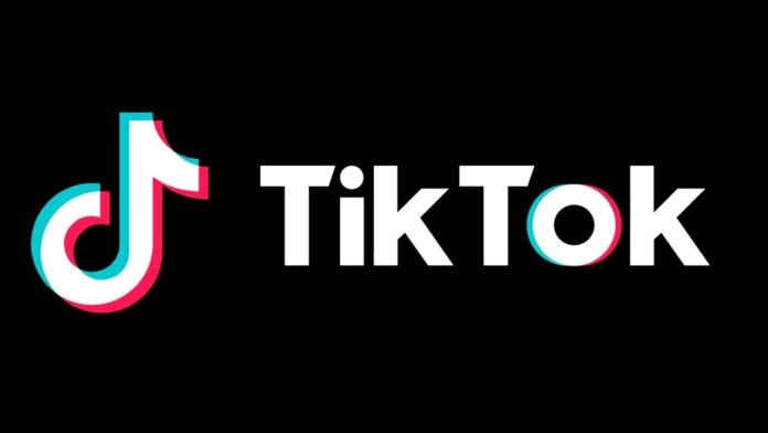 TikTok Challenges Google in Search Engine Space