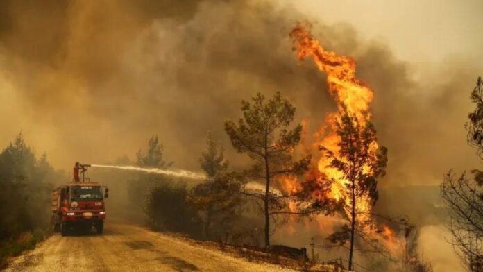 Turkey | 11 People Killed in Devastating Forest Fires