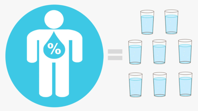 How Much Water to Drink a Day