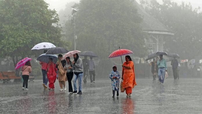 Pleasant Weather in Lahore as Rain Brings Relief