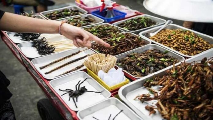 Singapore Approves 16 Insects for Human Consumption