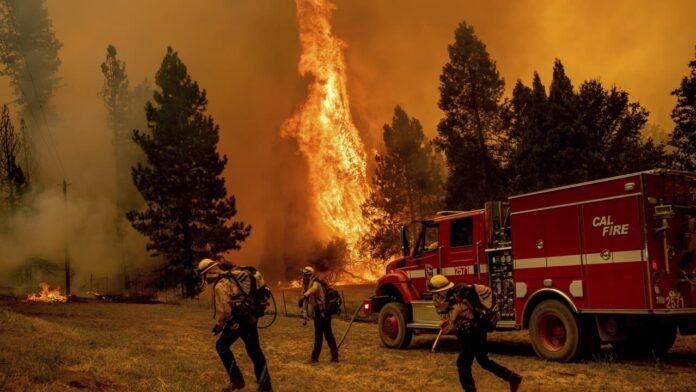 Wildfire Emergency| Efforts & Community Resilience