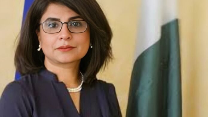 Amina Baloch Appointed as New Foreign Secretary