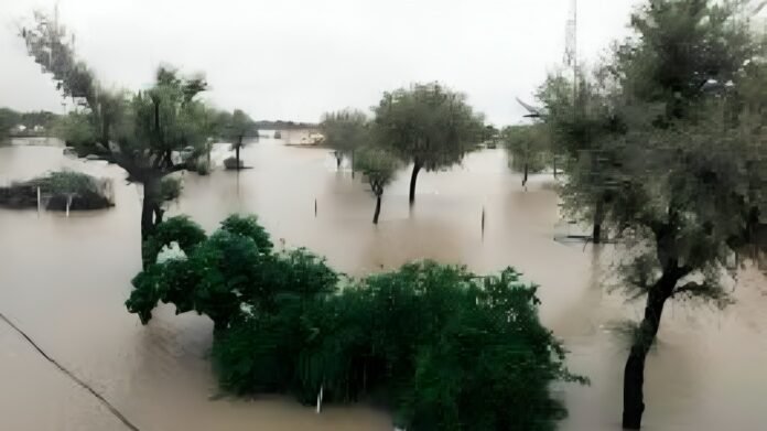 Heavy Rains Cause Widespread Flooding in Punjab