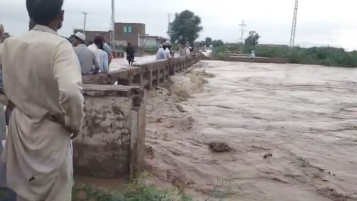 Pakistan Floods 2024 Punjab, Balochistan Devastation