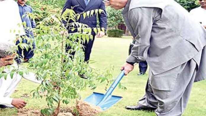 Zardari Calls for Active Participation in Monsoon Tree Planting