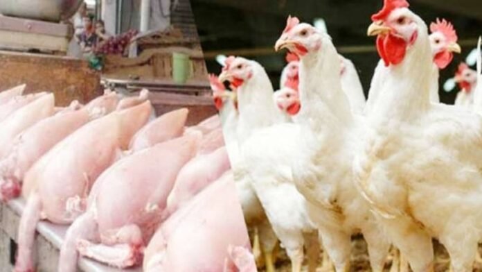 Chicken Prices Surge by 4 Rupees as Supply Disrupts Market