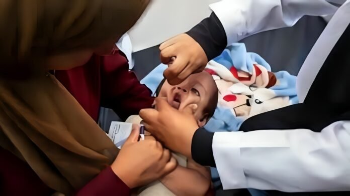 WHO Begins Polio Vaccination in Conflict-Affected Gaza