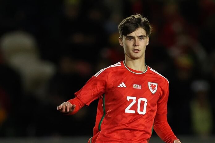 Wales Calls Up Leeds Teen