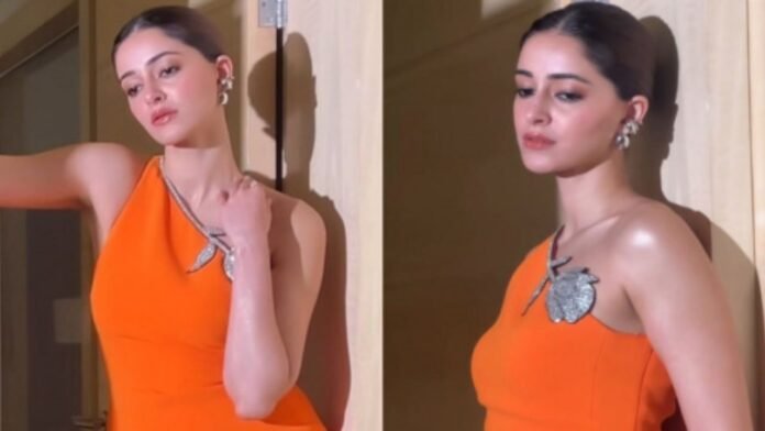 Ananya Panday's Red Chili Ritual to Ward Off Evil Eye