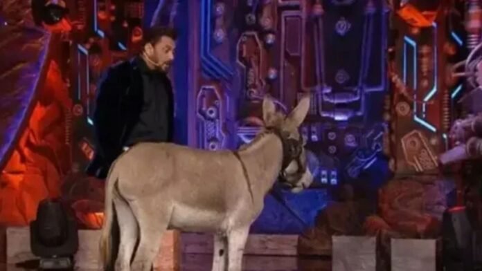 Salman Khan in Controversy Over Donkey in Bigg Boss 18